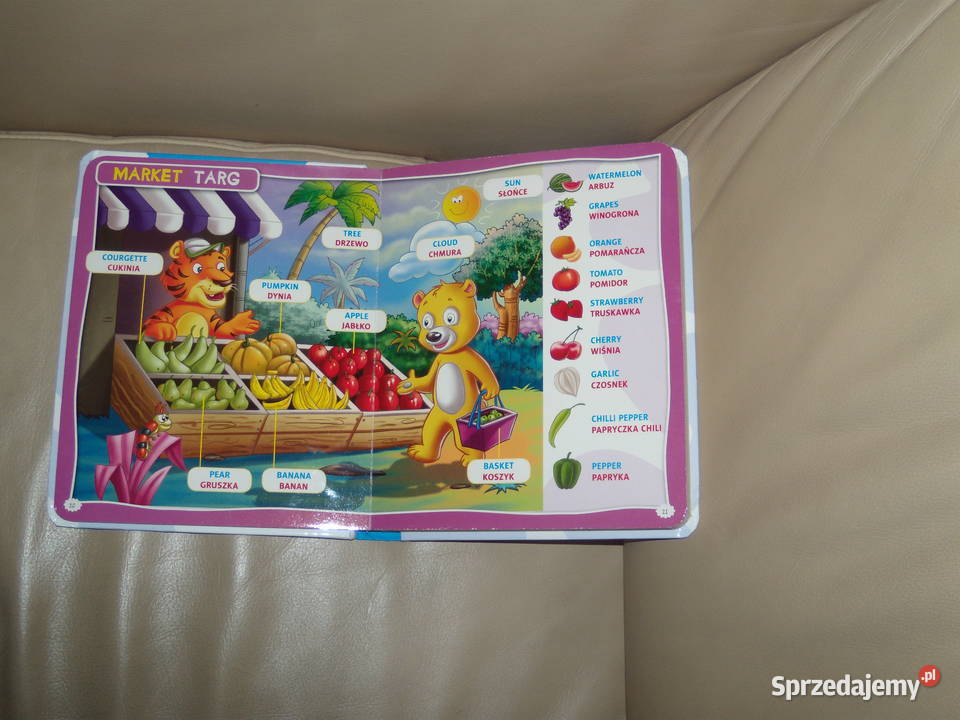 Pierwszy słowniczek obrazkowy angielsko polski Książki dla dzieci Warszawa sprzedam