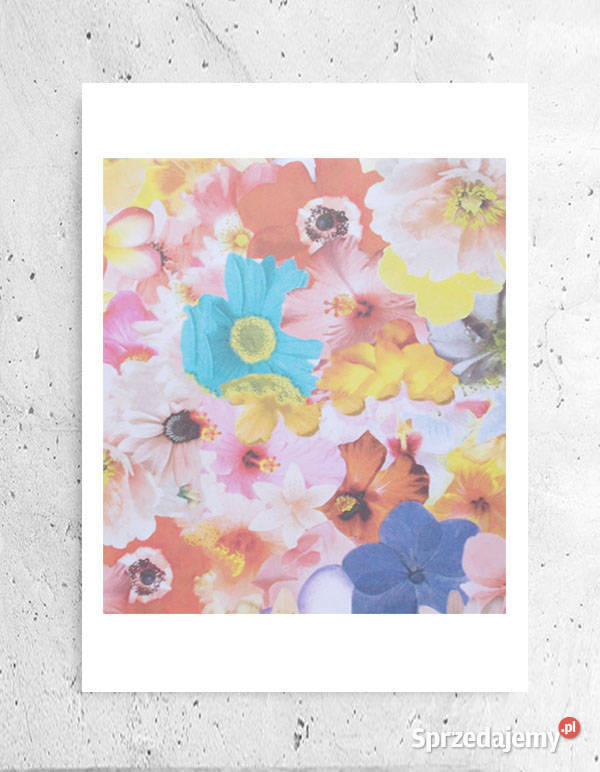 kolorowy plakat z kwiatkami kwiaty plakat A4 wielokolorowy warmińsko-mazurskie Olsztyn
