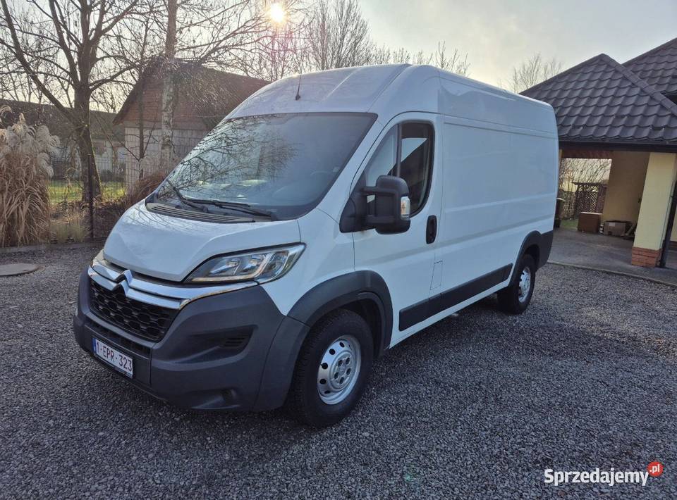 Citron Jumper Super Stan Faktura Gwarancja Kazimierz Dolny