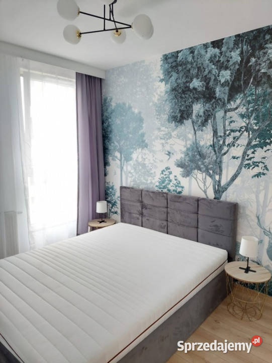 Komfortowe mieszkanie na wynajem Kraków Telimeny Wynajem