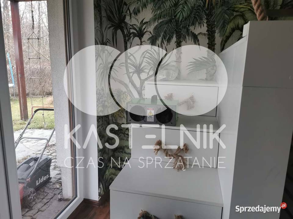 Odgrzybianie ścian Bukowno Kastelnik Usuwanie