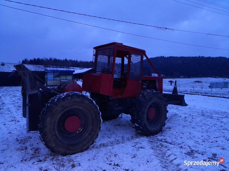Lkt 81 stan Hoczew