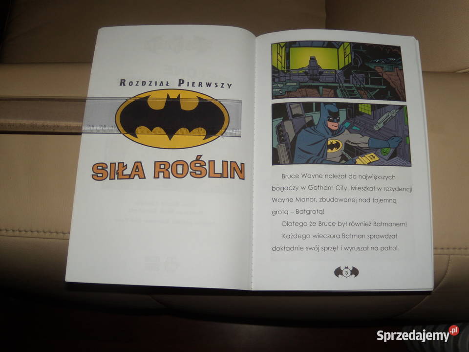 Batman Zielone miasto Warszawa