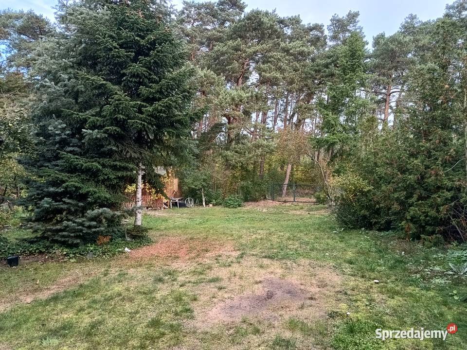Dom pod lasem Sprzedaż Kostrzyn nad Odrą