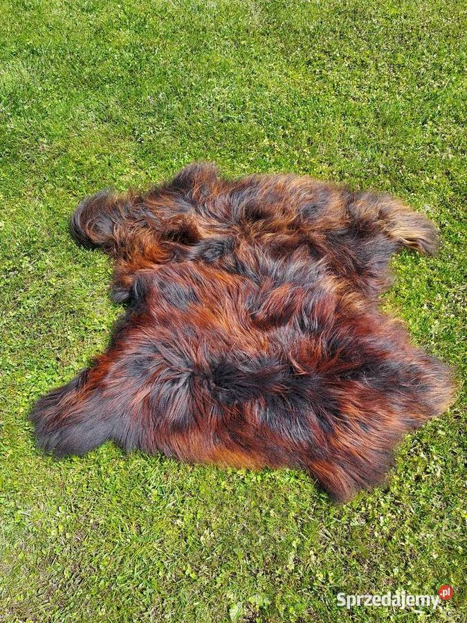 Dywanik Skórzany Dwie Zszywane Skóry Owcze Szaflary