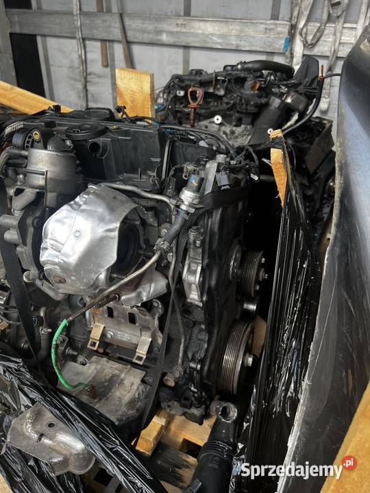 Silniki Mercedes 651 Luboń