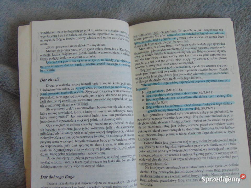 W dolinie cienia Shelley Chapin Poradniki, albumy i reportaże