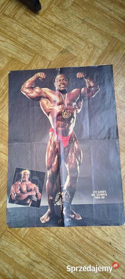 Orginalny plakat Lee Hanney Olimpia Tarnów