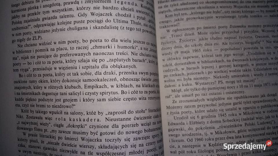 Kaskaderzy literaturyO twórczości i legendzie Łódź