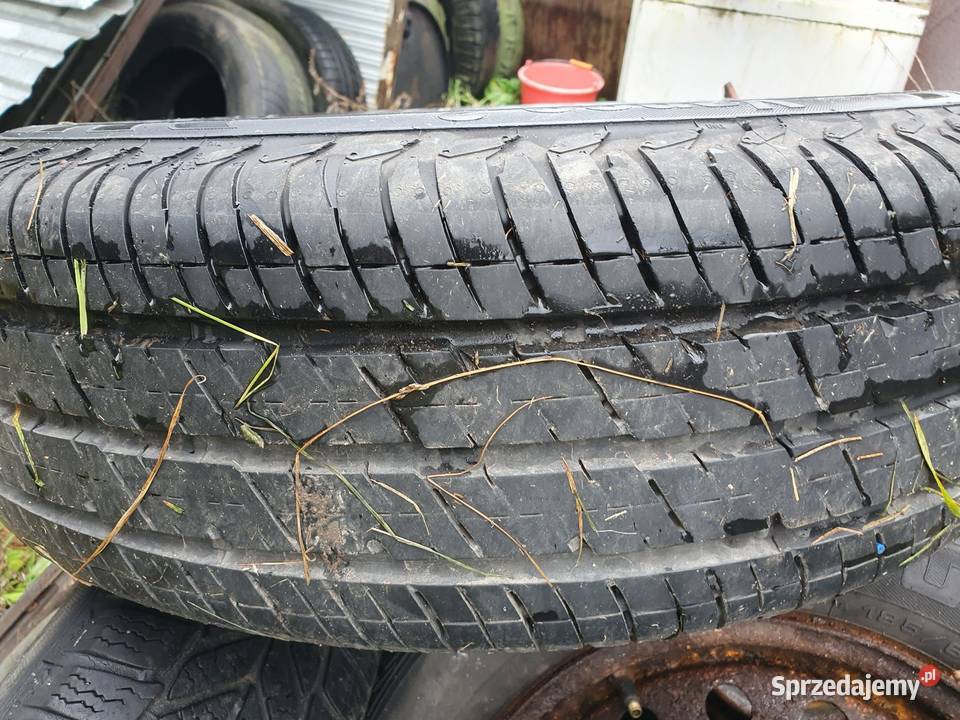 Koło continental vanco2 Pułtusk