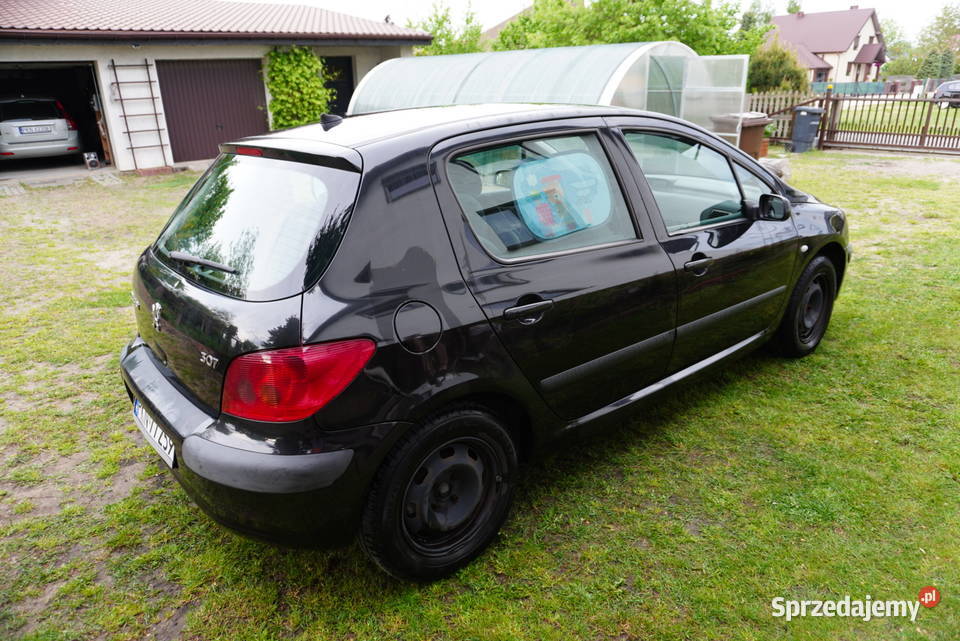 Peugeot 307 Mistral 2003 r 16 16V Benzyna 109 5 Poznań