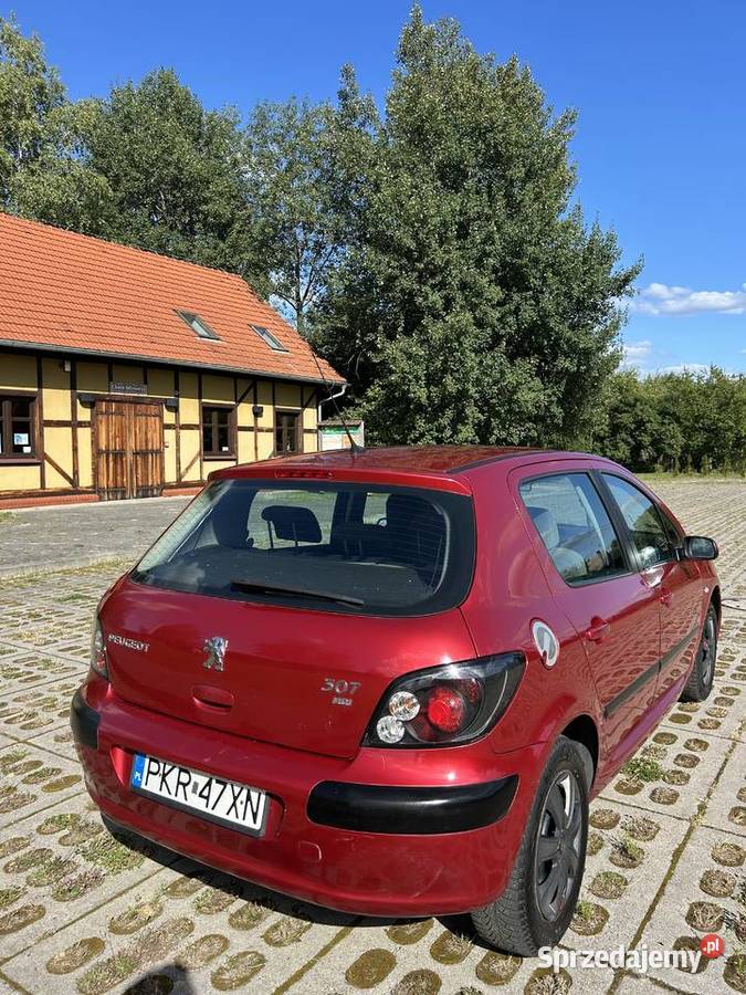 Zadbany Peugeot 307 20 HDI Milicz