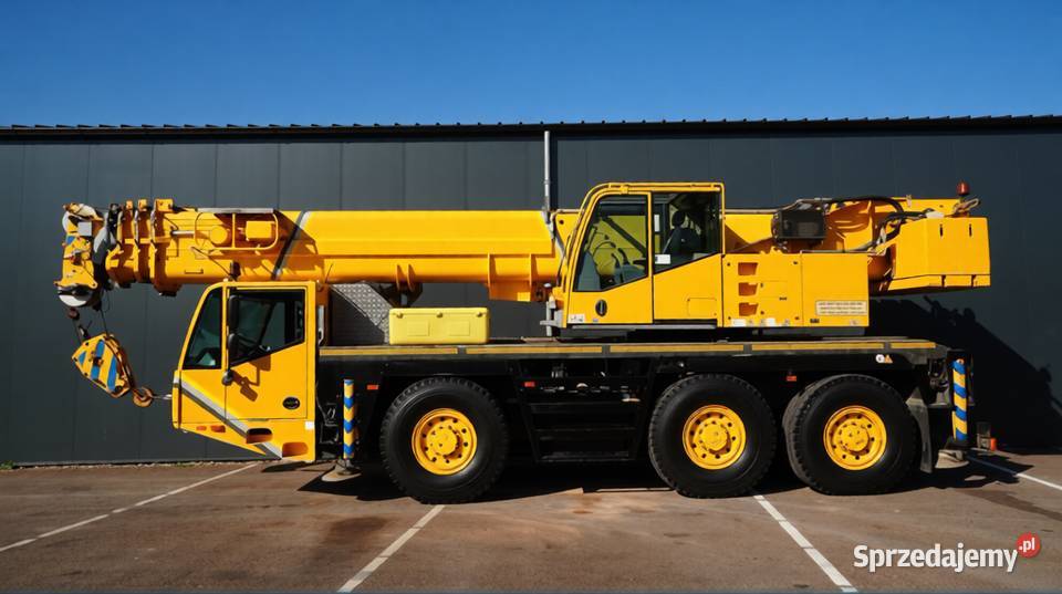 uraw samojezdny TEREXDEMAG AC 501 2009 50 T Pozostałe