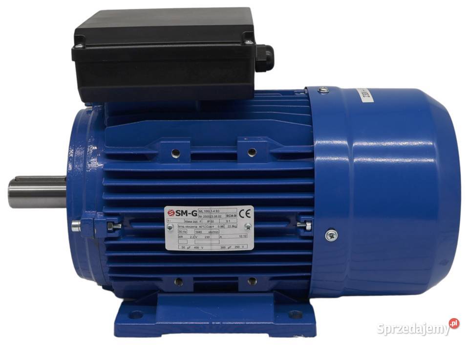 SILNIK ELEKT 22kW 230V 1430obr 1Fazowy Solec Kujawski sprzedam