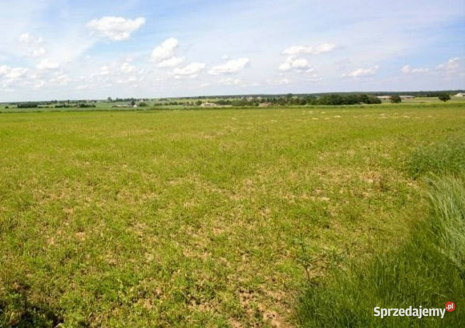 Działka 2001m2 Chmiel Pierwszy sprzedam