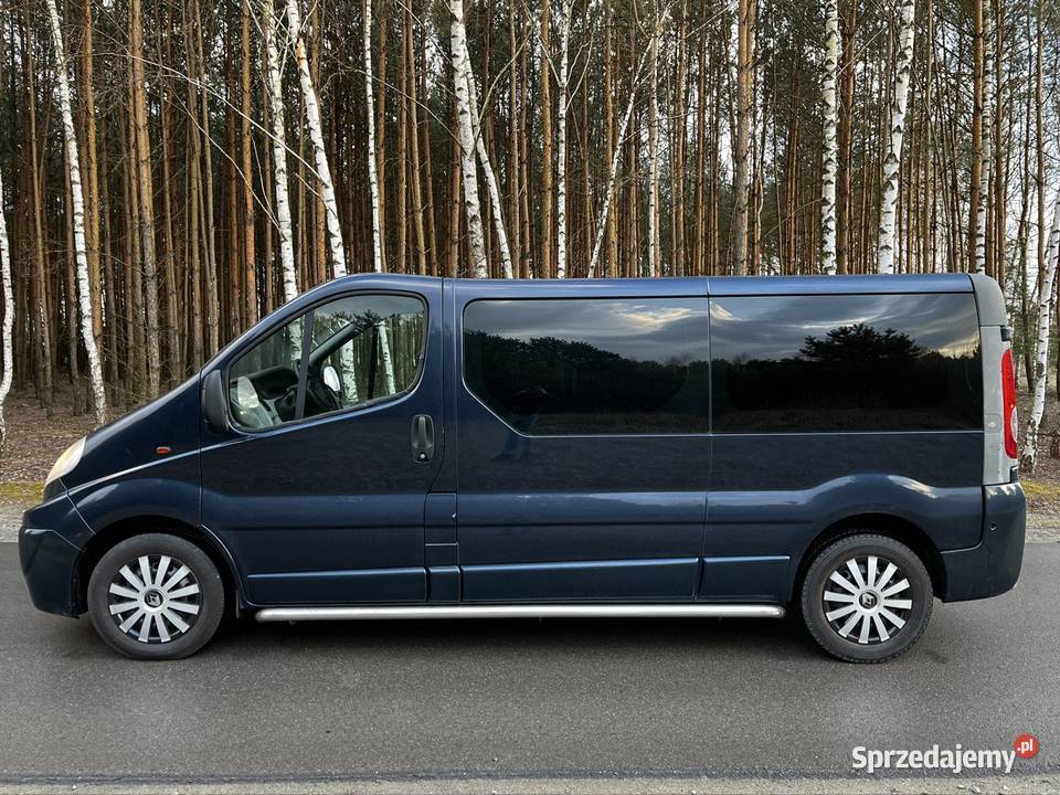 Renault Trafic 2007 25D145 Brygadówka Long mazowieckie Kozienice