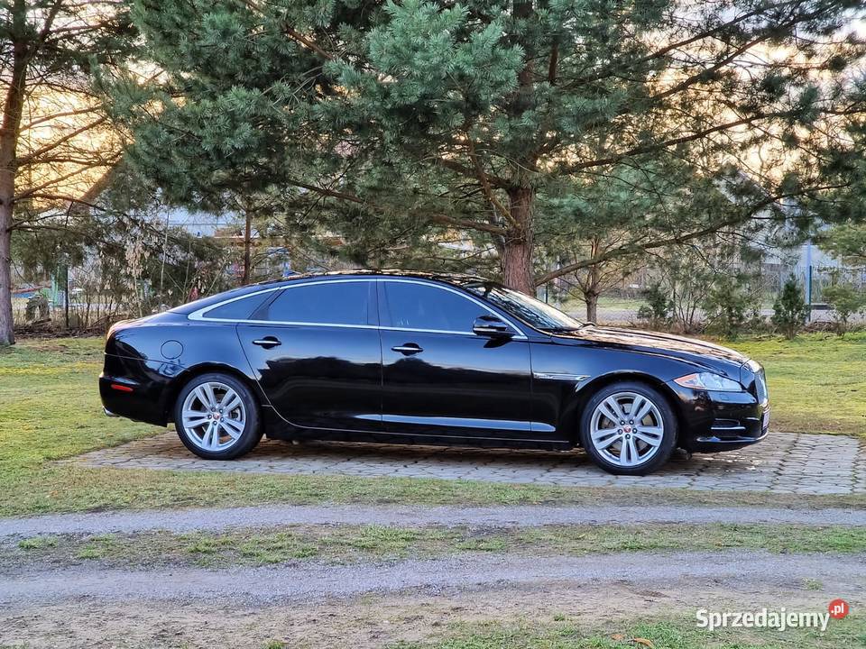 Jaguar XJ Long Portfolio lubuskie Gorzów Wielkopolski