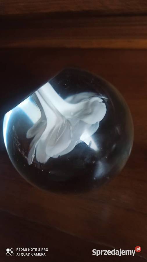 Kula szklana z białą różą przycisk na biurko Porcelana i szkło pomorskie