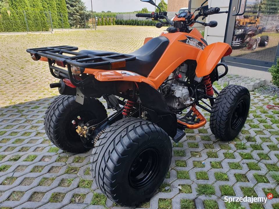 DINLI 300 Homologacja AUTOMAT SERWIS DOSTAWA Wały A sprzedam