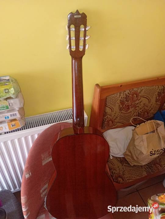 Gitara klasyczna Grodków