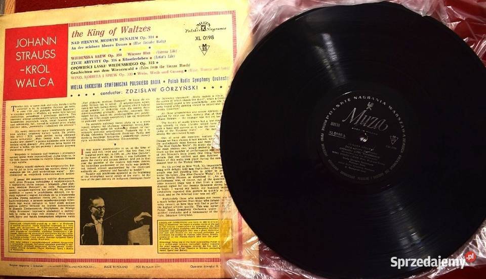 Johann Strauss Walce Król Walca dwie płyty Chełmno sprzedam
