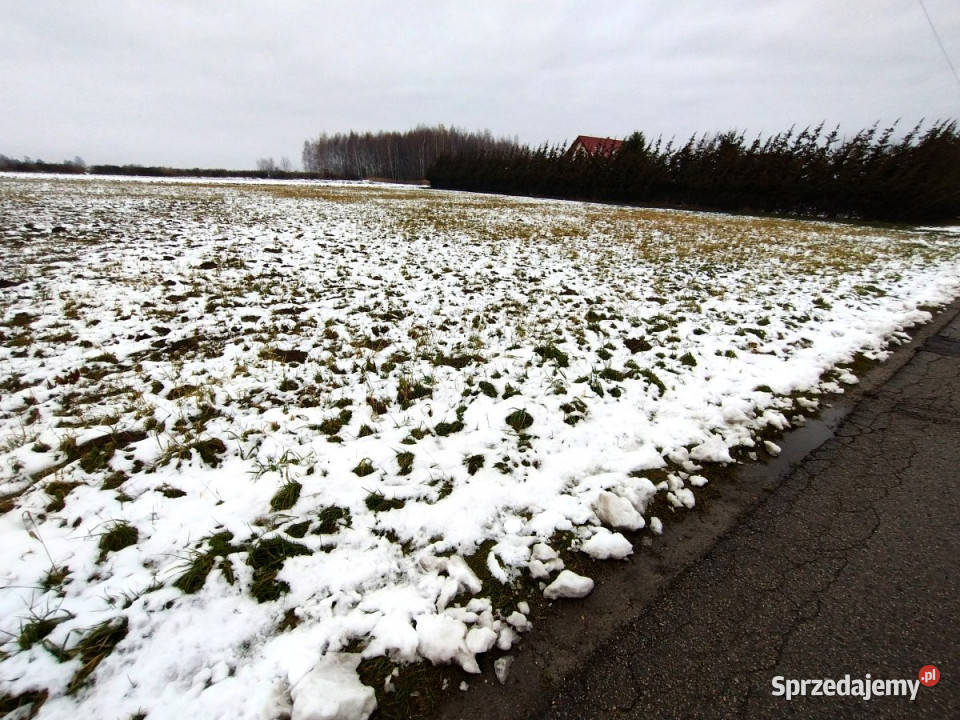Do sprzedaży działka 1164m2 Wola Niemiecka lubelskie