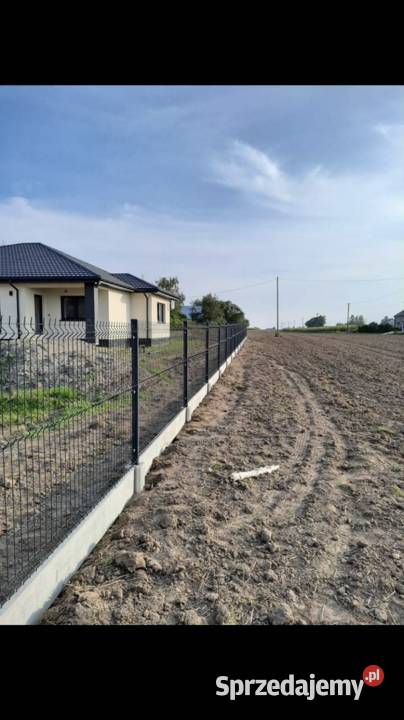 Ogrodzenia Palisadowe Panelowe Ocynk Ral 3D2D Szczawin Kościelny