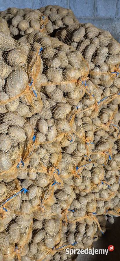 Ziemniaki soraya Miechów