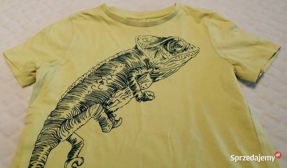 Koszulka krótki rękaw Tshirt żółta kameleon 104 żółty/złoty sprzedam