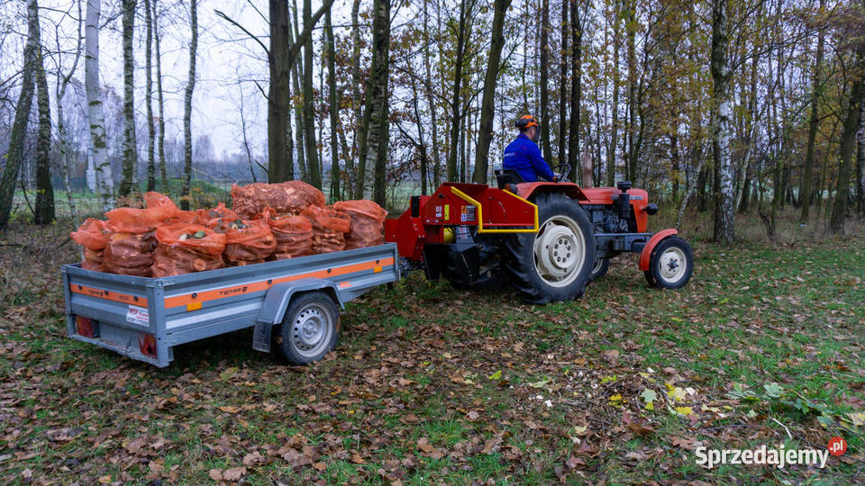 Rębak walcowy REMET R100 rozdrabniacz do gałęzi Leśnictwo Łowisko