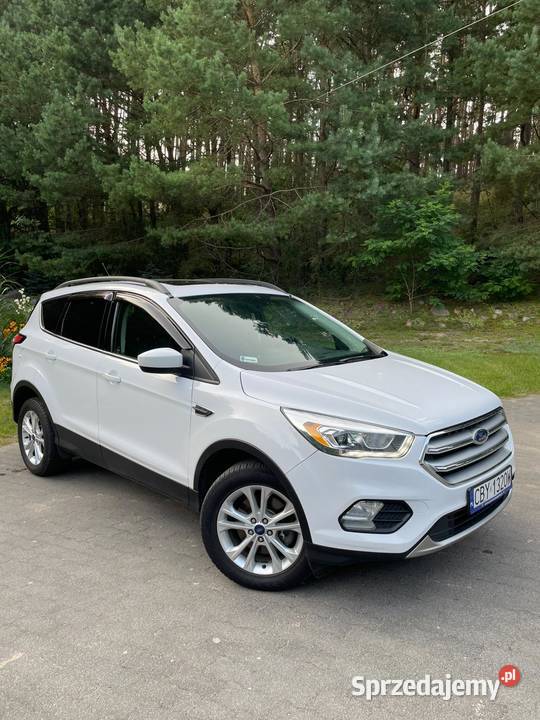 Ford Escape 20 benzyna 242 4WD 2017r 1 automatyczna Bożenkowo sprzedam