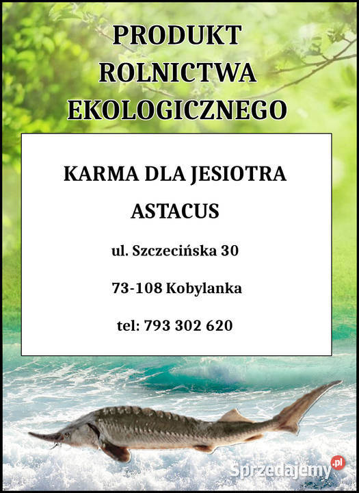 Karma pasza ryb karp koi pstrąg jesiotr zachodniopomorskie