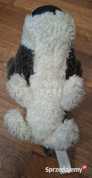 Maskotka piesek pluszak Zielona Góra