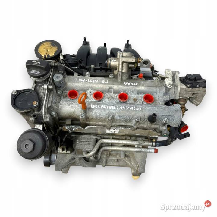 SILNIK BLF VW Touran Golf V Eos Jetta III 16 FSI lubelskie