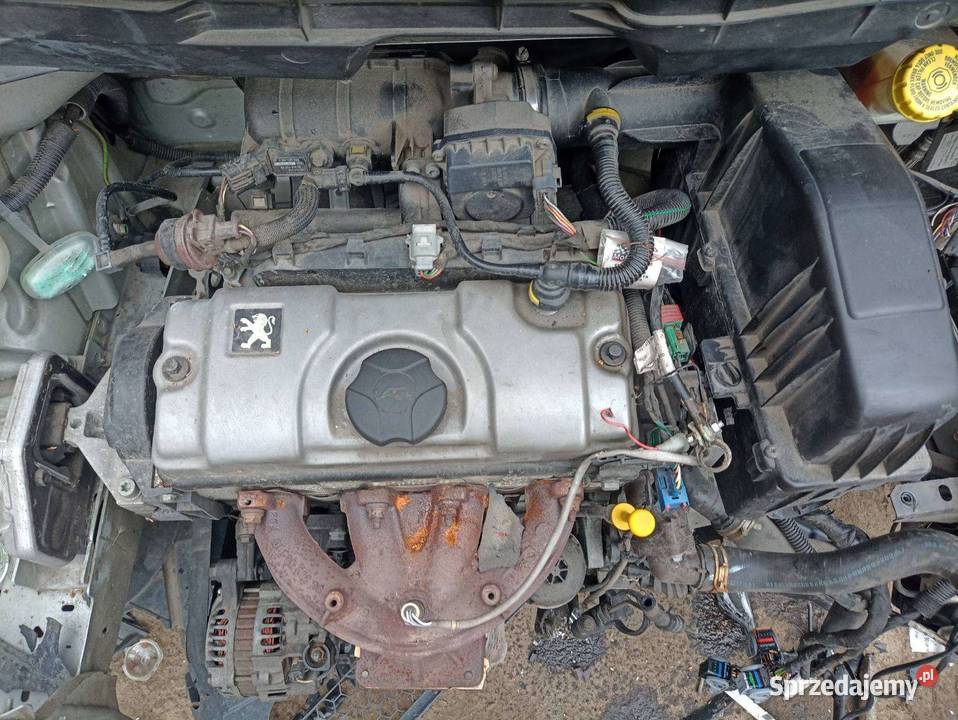 Silnik Peugeot 206207307 308 Citroen C2 C3 C4 Tychy sprzedam
