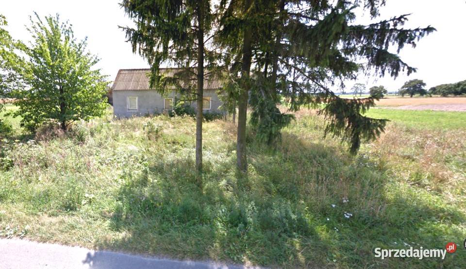 Sprzedam dom z budynkami w Krzewie gm Dąbie na Krzewo