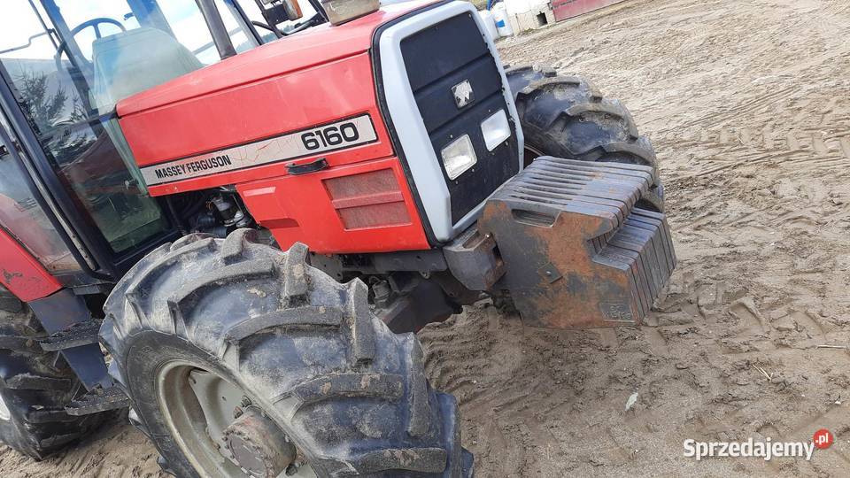 Massey Ferguson 6160 Massey Ferguson Ciągniki Grabowo
