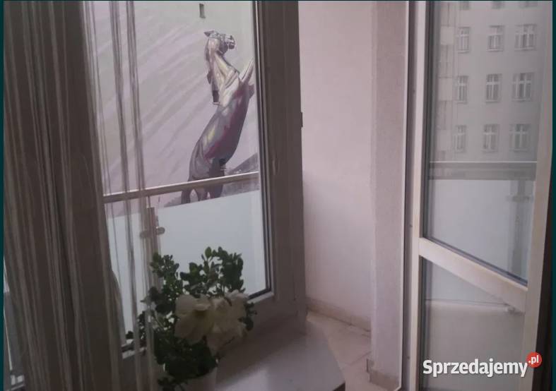 1pok 19met Placu Legionów BALKONPIWNICA Wrocław