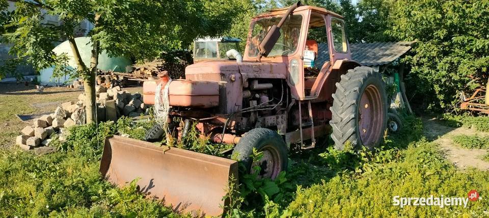 MTZ JUMZ dolnośląskie Pastewnik