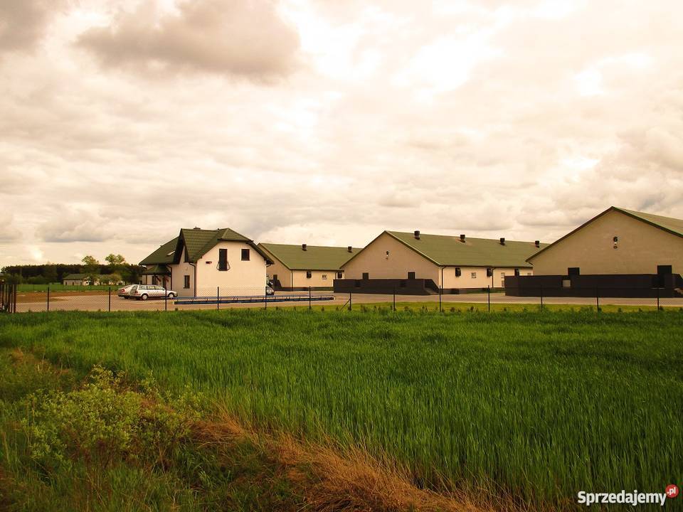 Budowa Chlewni Obór Kurników TANIO SZYBKO Żuromin
