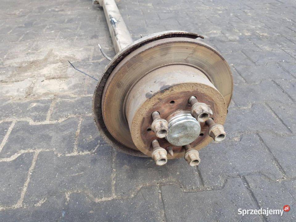 BELKA SANKI TYŁ BOXER Pozostałe Lipno