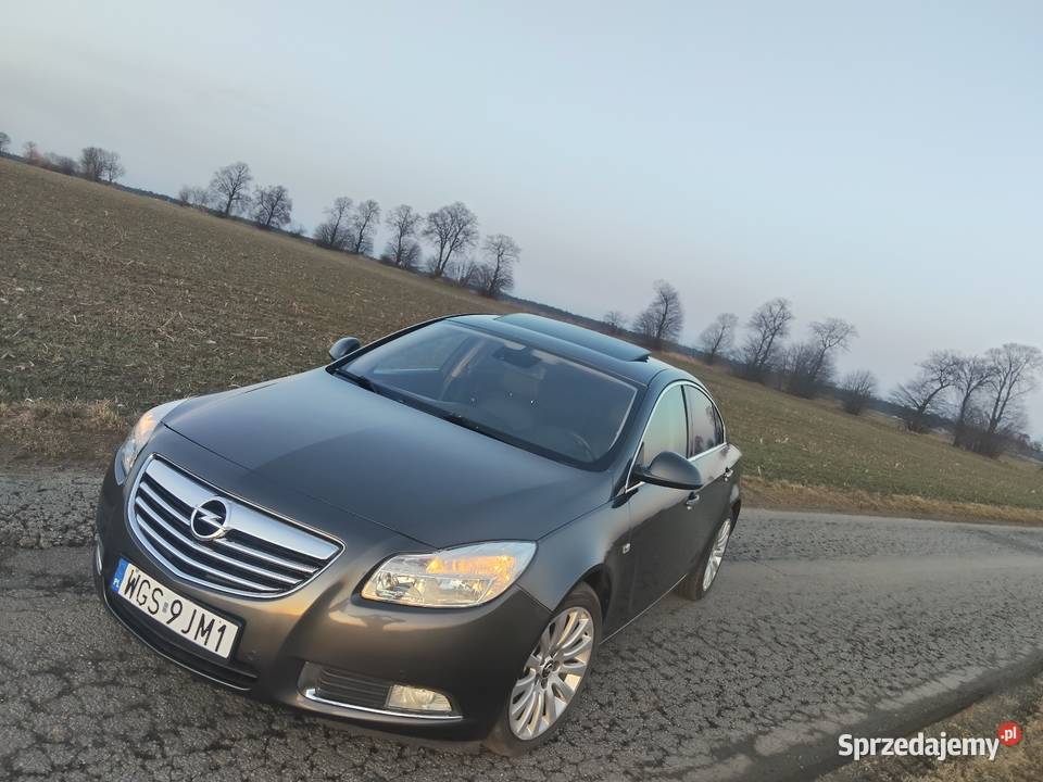 Sprzedam Opel Insignia A Gostynin