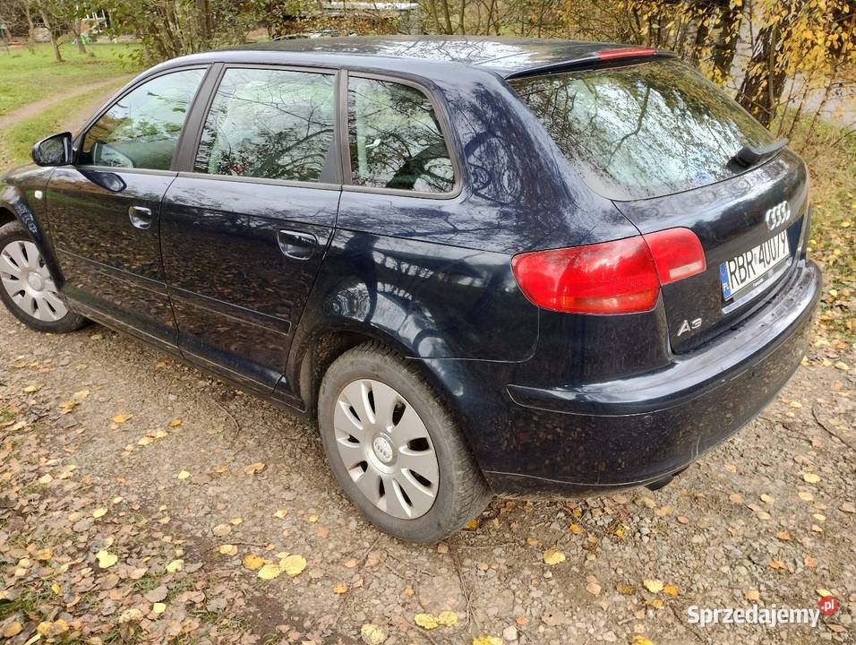 A3 8P 19tdi 105 MP3