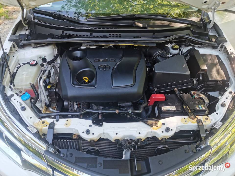 Toyota Corolla Krzczonów-Wójtowstwo