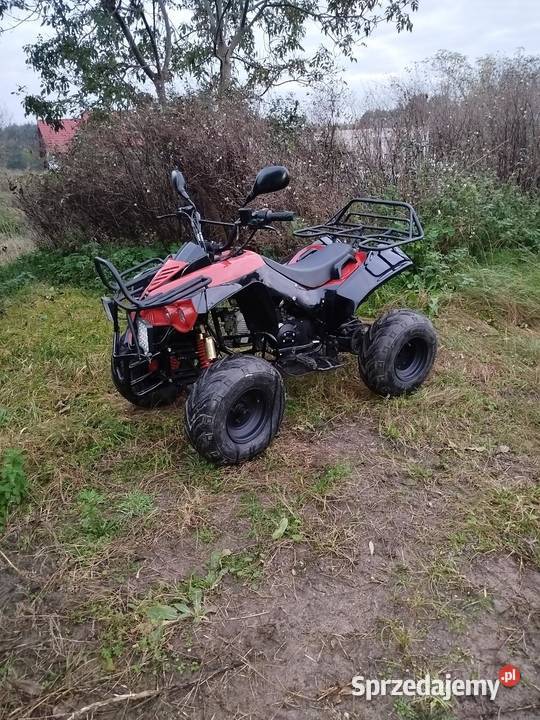 Sprzedam quada 110 31 Toruń