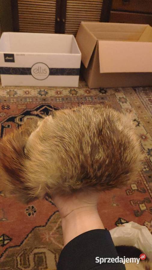 Trochę zwariowana czapka uszanka z futra Warszawa