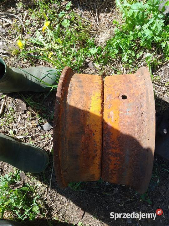 Felga polski rozrzutnik Pozostałe