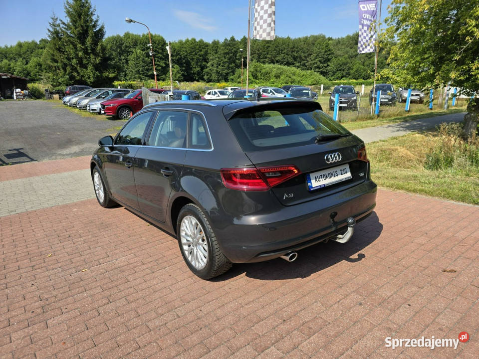 Audi A3 Sportback Audi A3 16 tdi Sportback 110 z A3 Cielcza