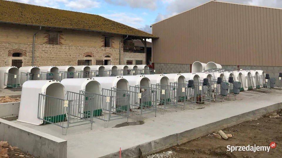 Domek cieląt pojedynczy CalfOTel Comfort z Hodowla i gospodarstwo Opole