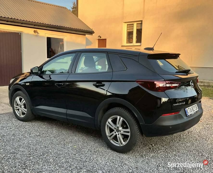 Opel Grandland X 16 CDTI 120 2018 Diesel 168 Zalasowa sprzedam